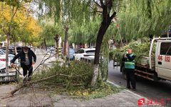 <b>开辟区城市办理事务核心：积极应对大风气候 保</b>